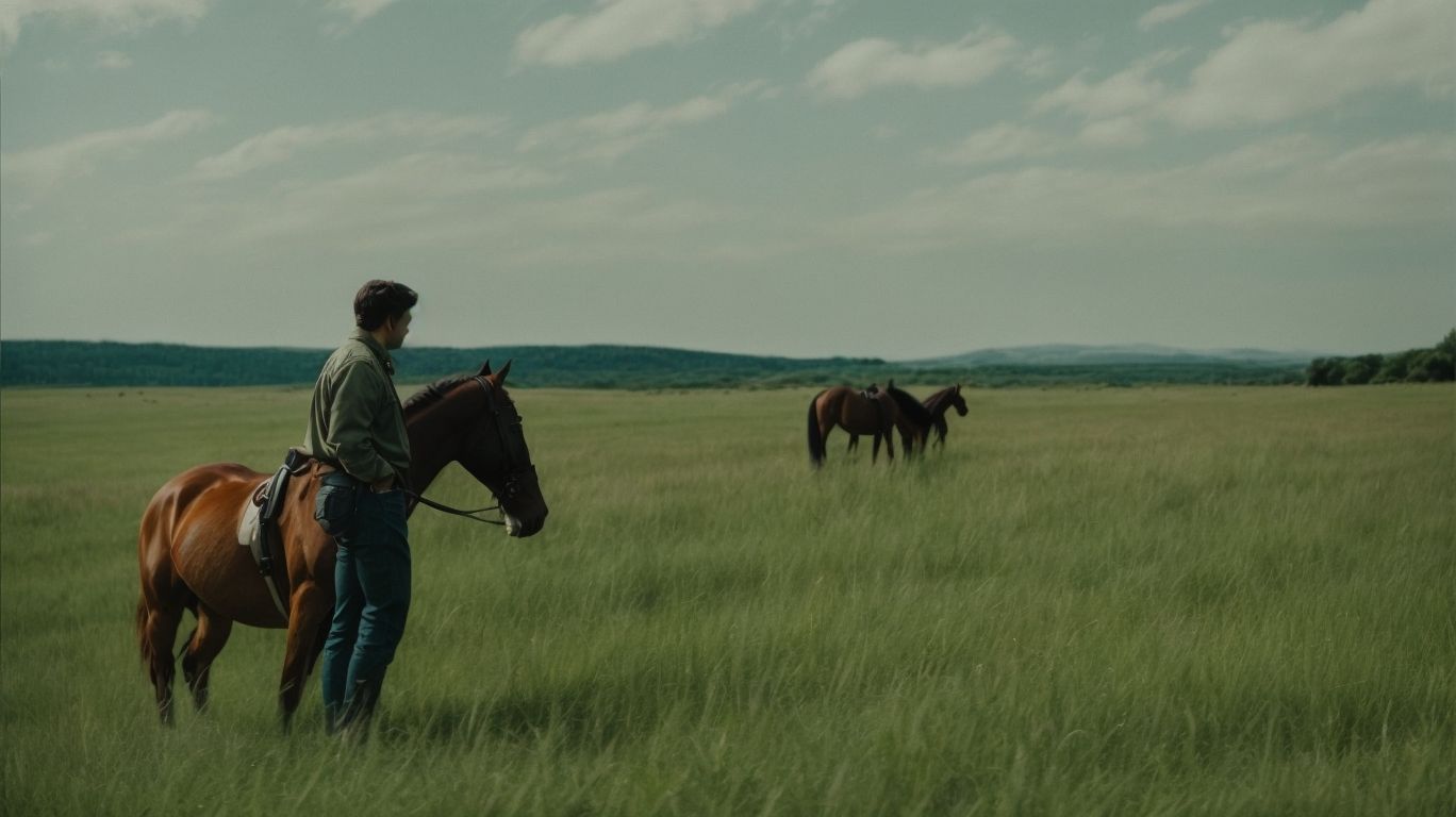 Conclusion: Understanding Your Horse