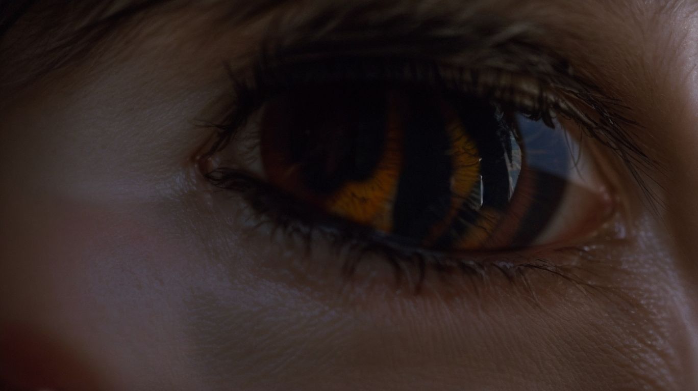 How Are Corneal Ulcers In Horses Diagnosed? - Corneal Ulcers In Horses