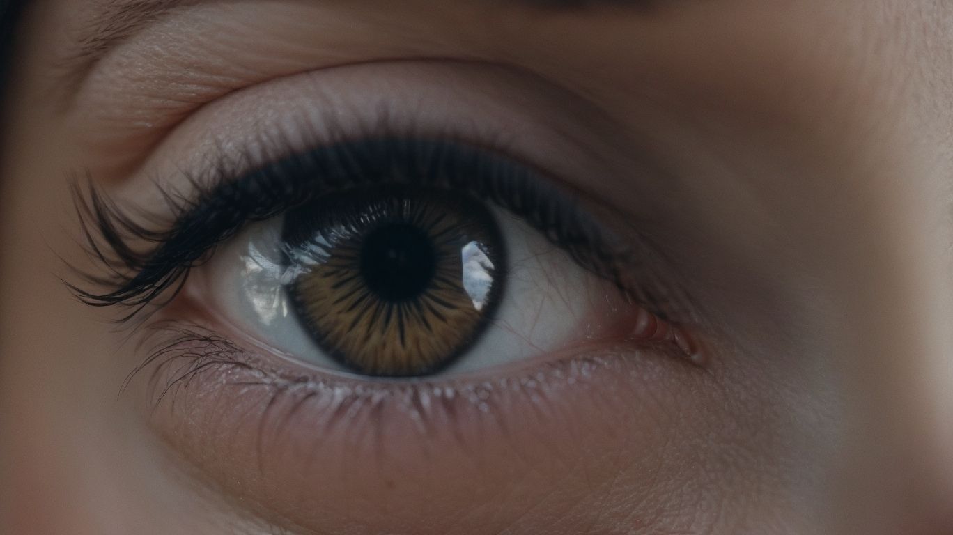 How Can Corneal Ulcers In Horses Be Prevented? - Corneal Ulcers In Horses