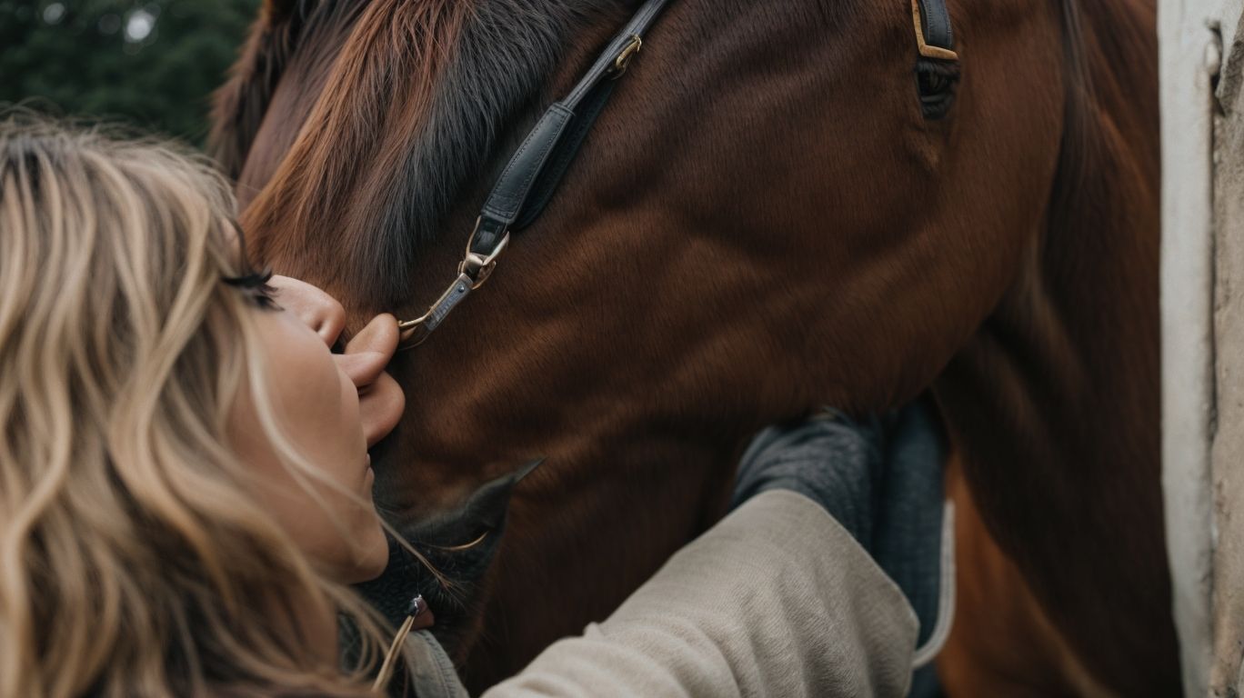 How Do Horses Remember People? - Do Horses Remember People 
