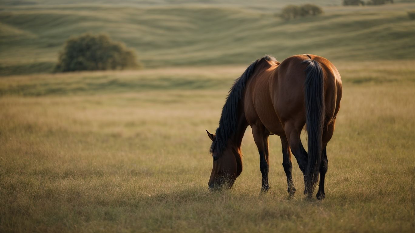 How to Determine if Your Horse is Overweight? - Caring For The Overweight Horse 