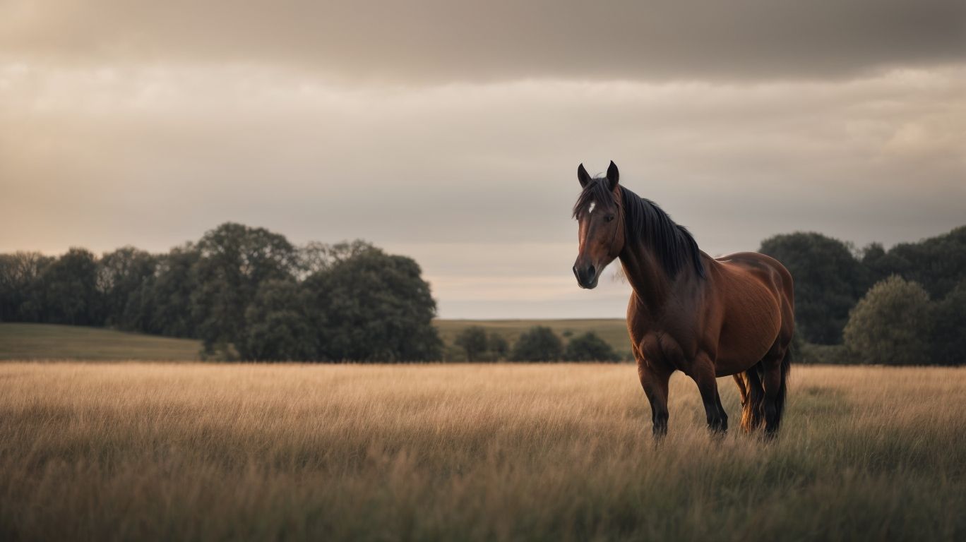 How To Recognize Signs Of Loneliness In Horses? - Signs Of Loneliness In Horses 
