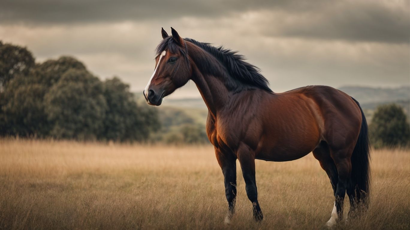 Interesting Facts about the Falabella Horse - Falabella Horse Breed Profile 