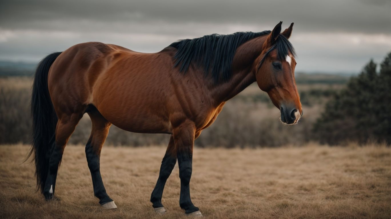 Is There Anything That Can Prevent A Horse