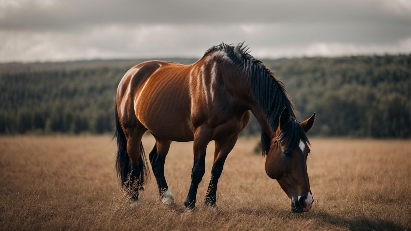 Understanding Horse Behavior - Why Do Horses Stomp Their Feet