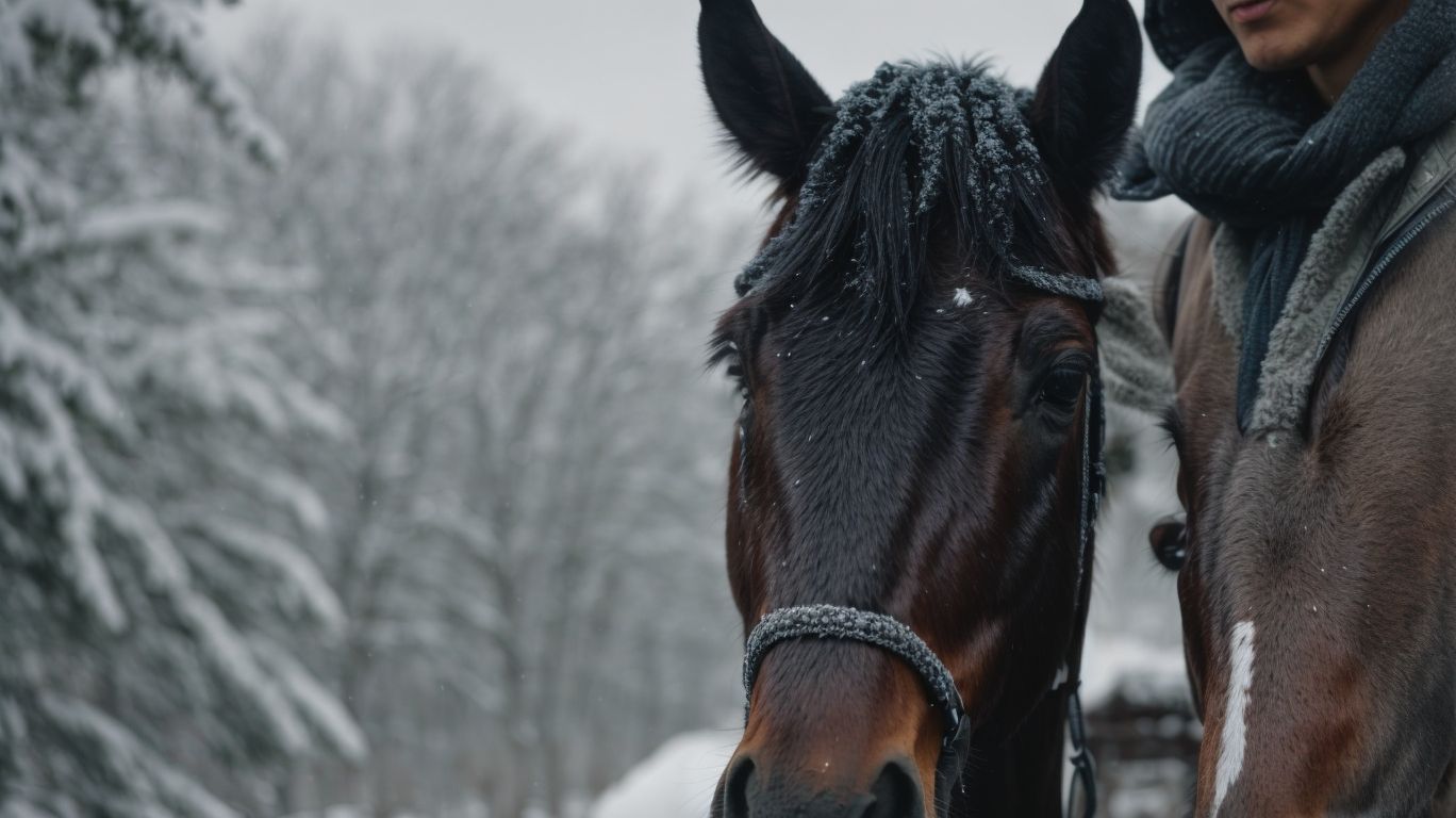 Understanding Your Horse