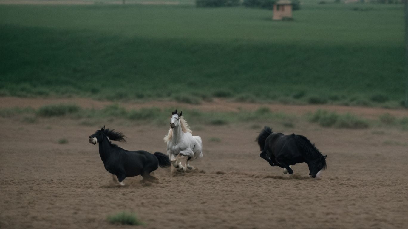 Uses of Aspirin for Horses - Aspirin Vs Bute For Horses