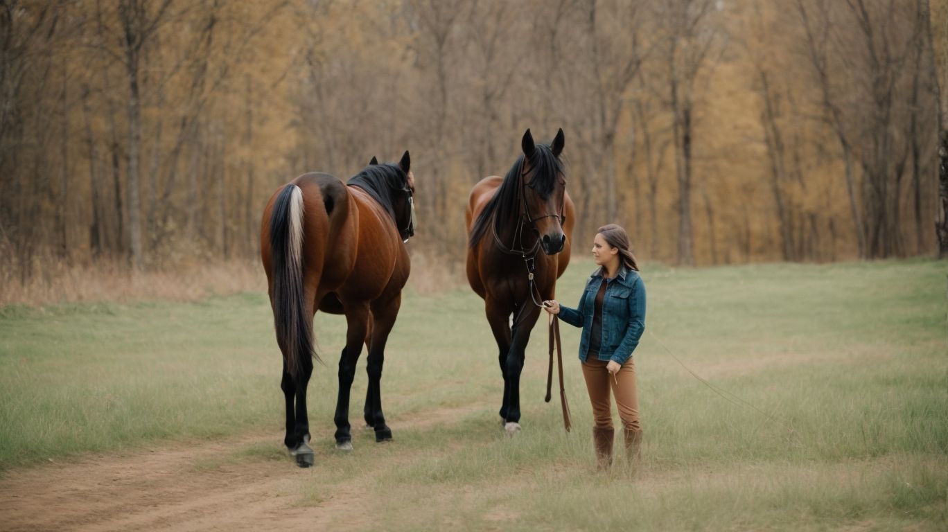 What Are Missouri Fox Trotters and Belgians? - Missouri Fox Trotter Vs Belgian