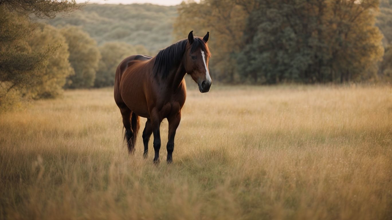 What Are Some Solutions for Leaving Horses Alone? - How Long Can Horses Be Left Alone 