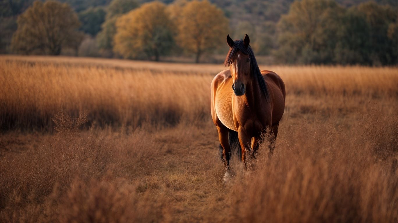 What Are the Best Practices for Managing Horses during Different Seasons? - Understanding Horse Seasons 
