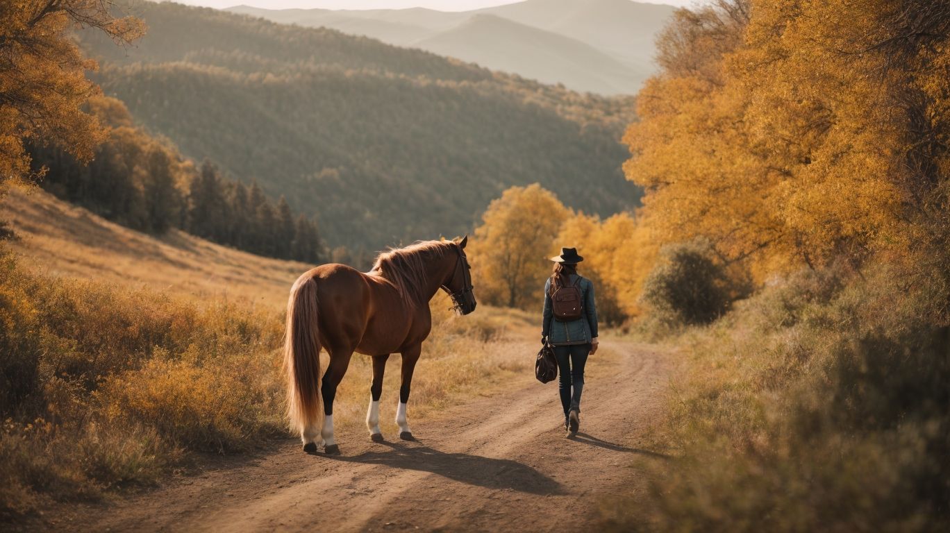 What Are the Characteristics of a Good Trail Riding Horse? - Best Horse Breeds For Trail Riding