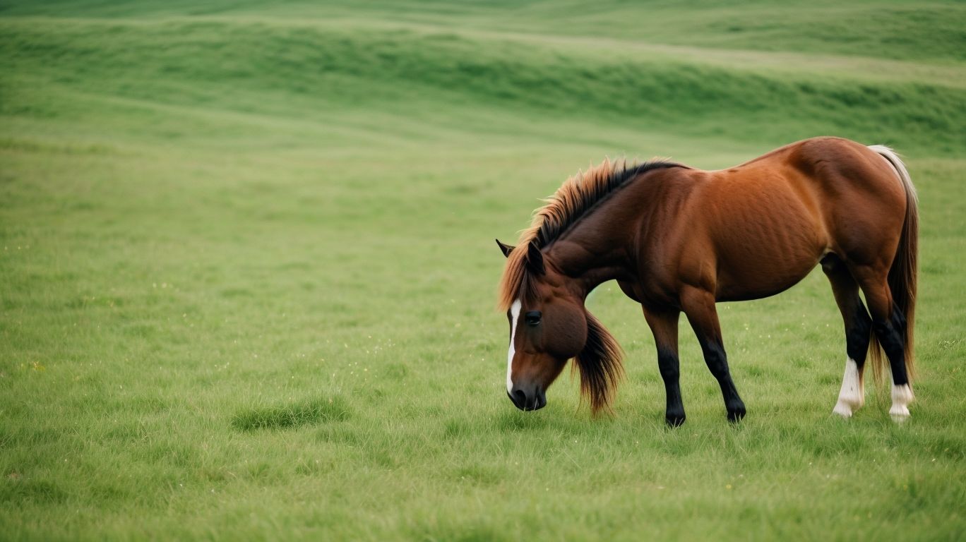 What Are The Signs Of A Well-Fed Pony? - What Do Ponies Eat