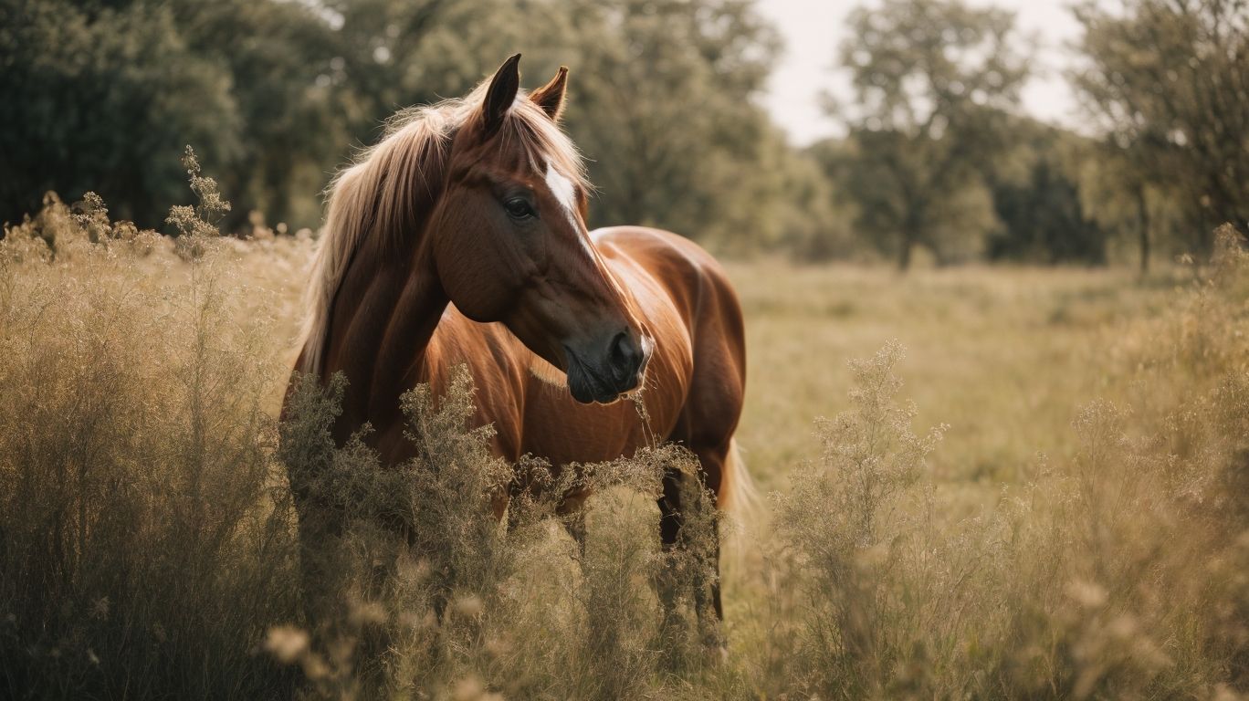 What Are The Symptoms Of Allergies In Horses? - Allergies In Horses