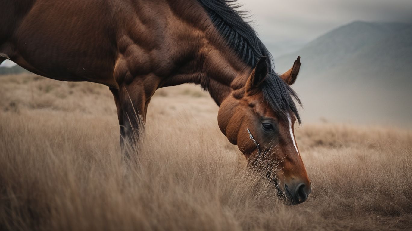 What are the Symptoms of Heaves in Horses? - Heaves In Horses 