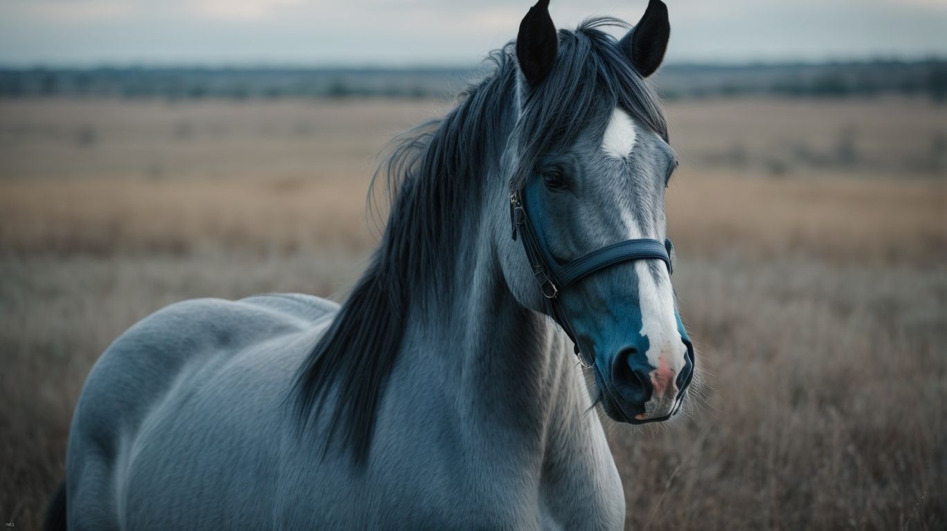 What Are The Uses Of Blue Roan Horses? - What Is A Blue Roan Horse