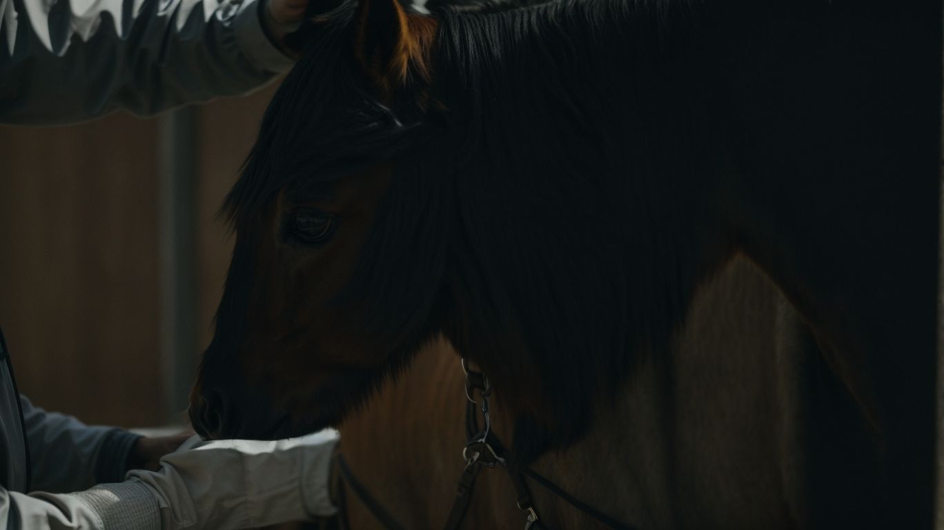 What Are The Uses Of DMSO In Horses? - DMSO Use In Horses