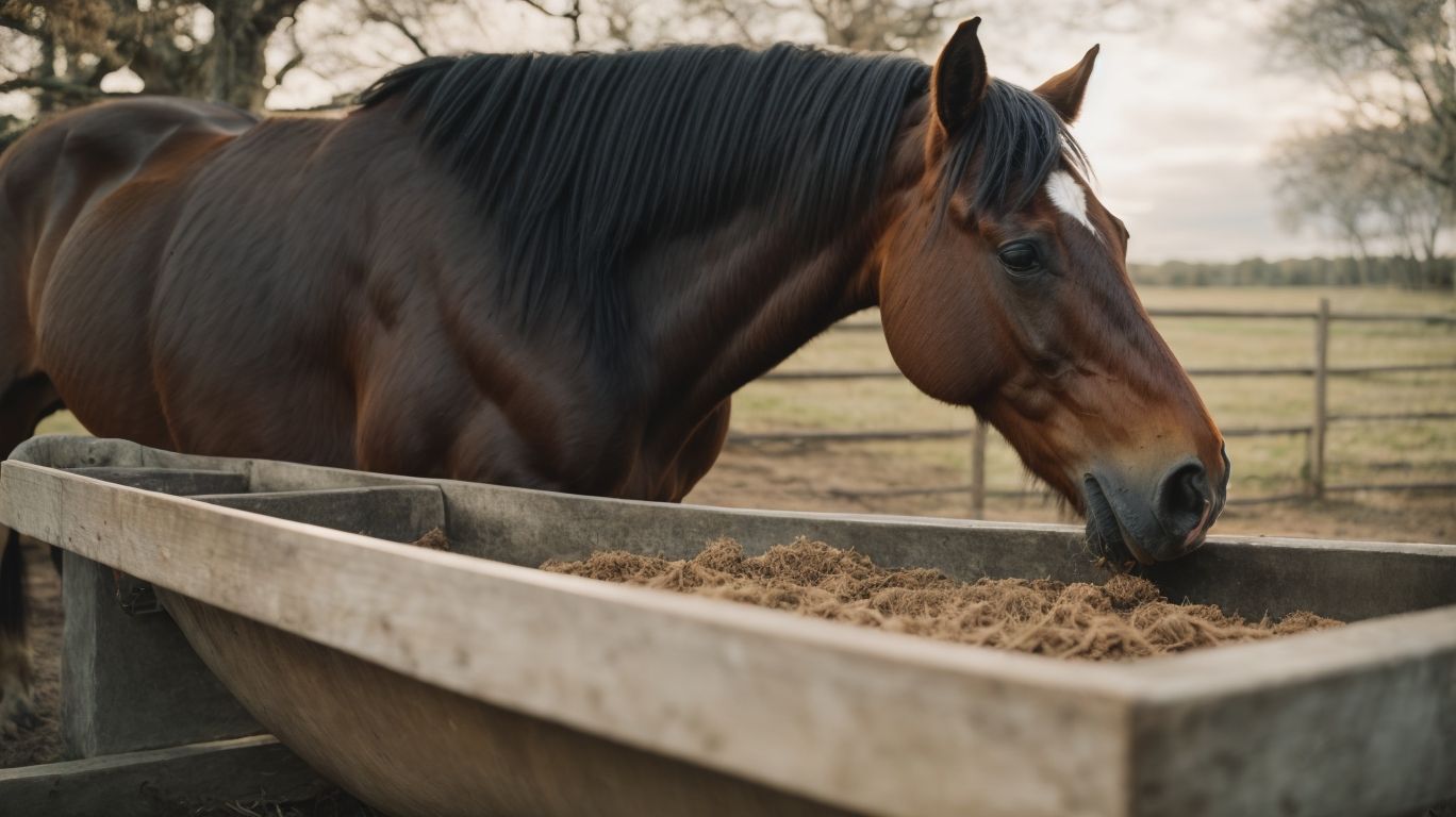 What Can I Do To Help My Horse Regain Weight? - Horse Eating Well But Losing Weight 