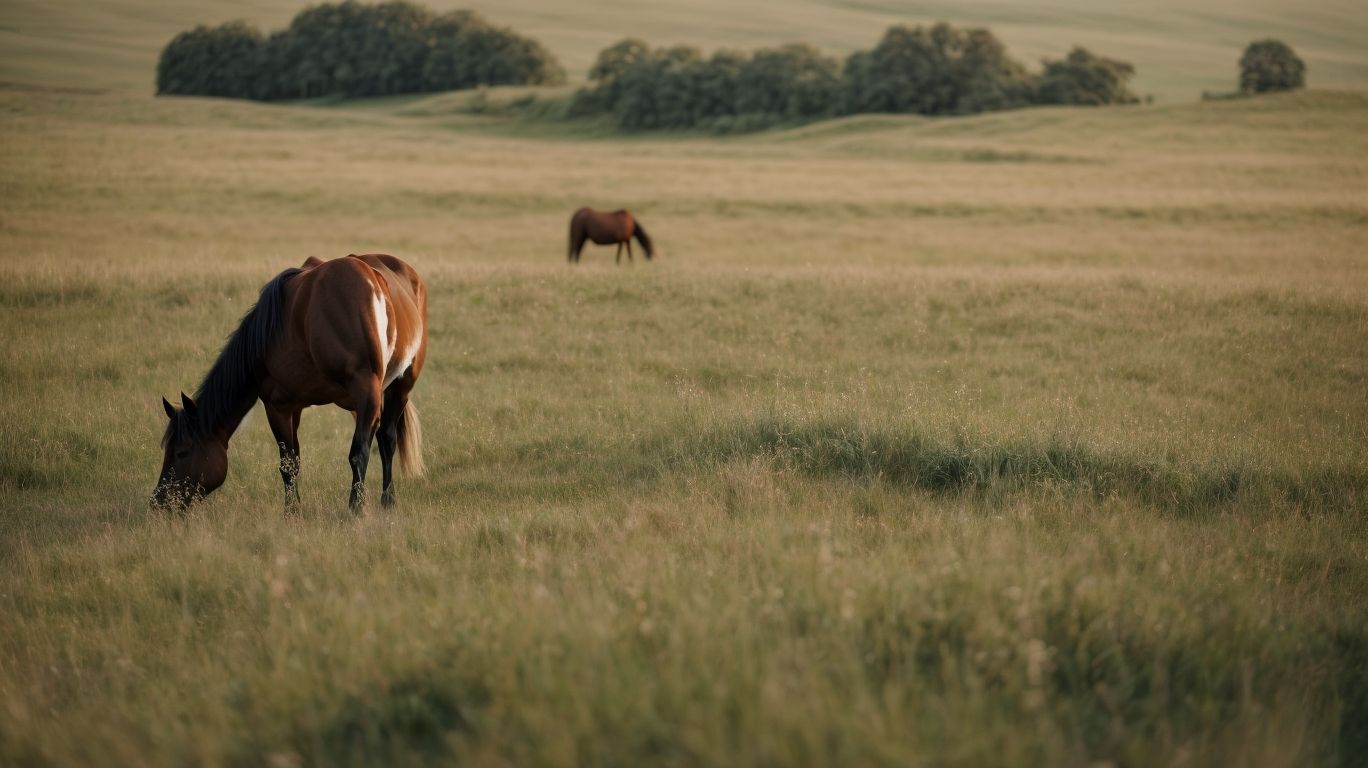 What Does A Horse Eat? - How Much Does A Horse Eat In A Day