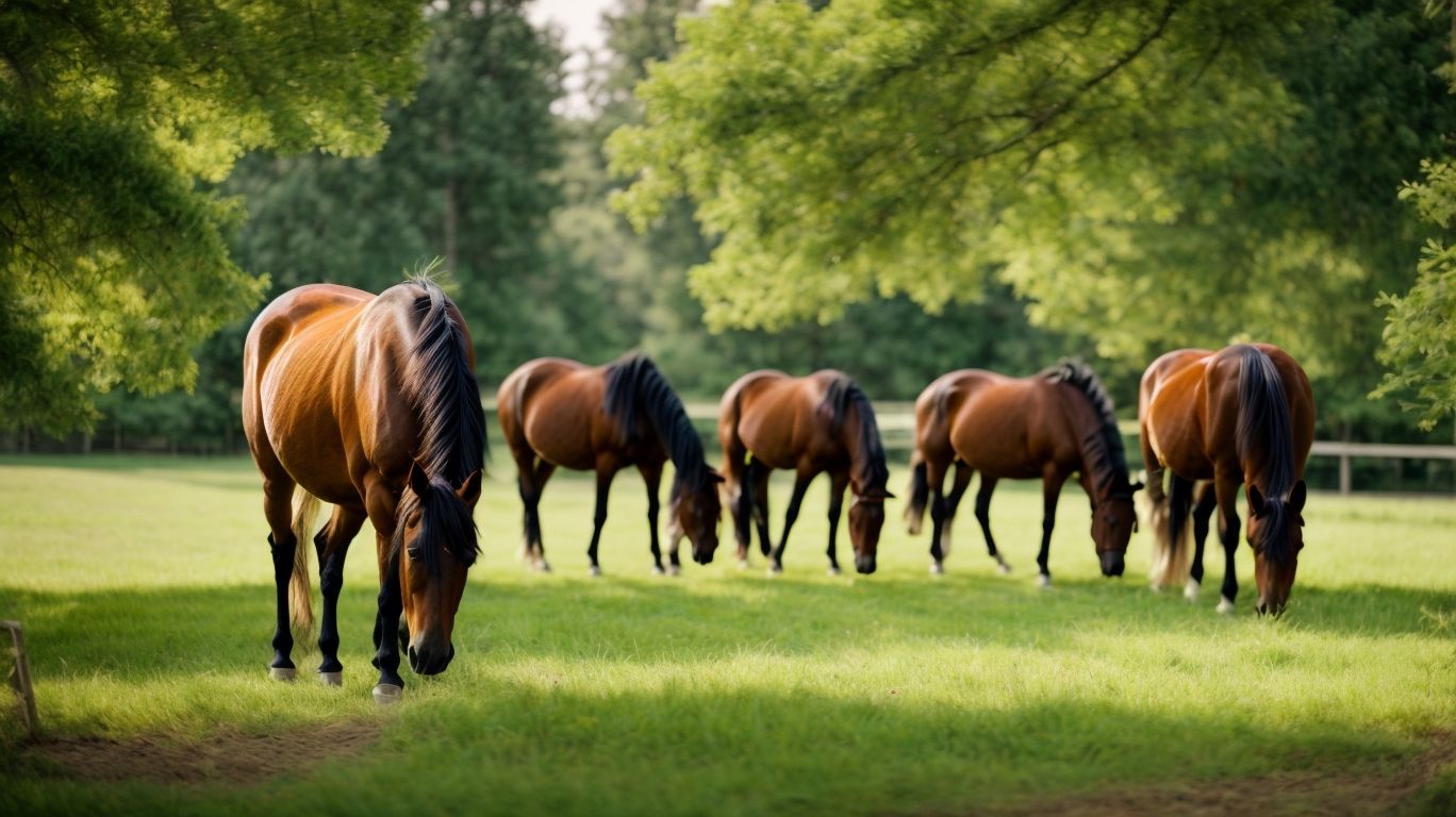 What Is Equine Pasture Management? - Equine Pasture Management Guide