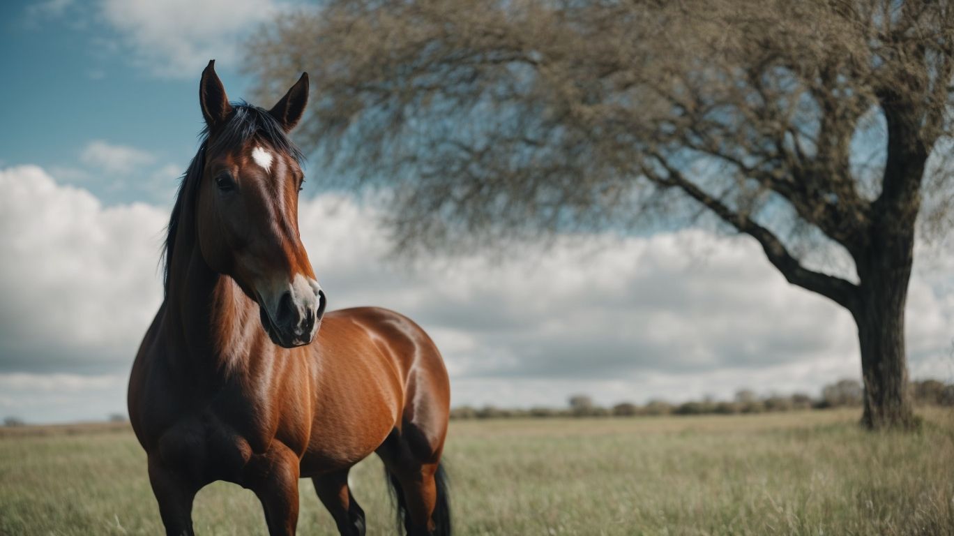 What is Equine Science? - Best Equine Degrees 