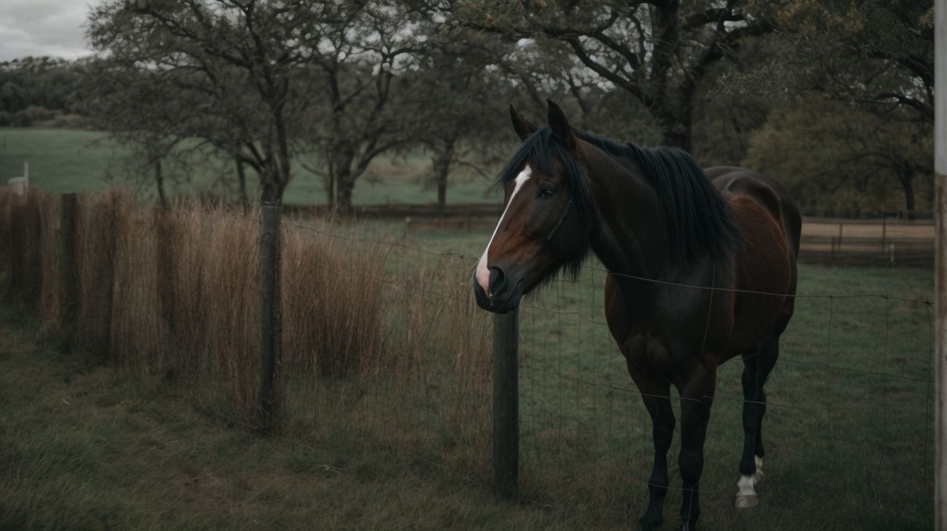 What Is the Recommended Height for a Horse Fence? - How Tall Should My Horse Fence Be