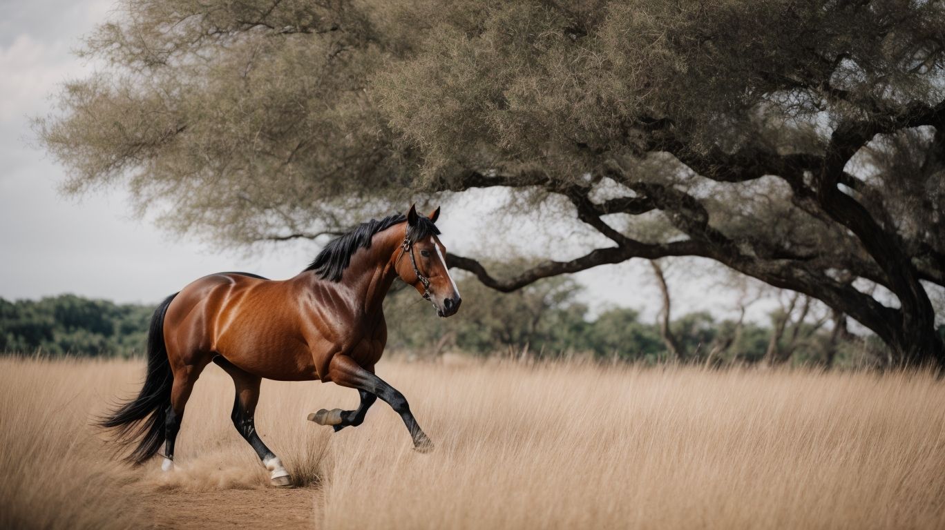 What Other Factors Can Help Energize a Lazy Horse? - Exercises To Energize A Lazy Horse