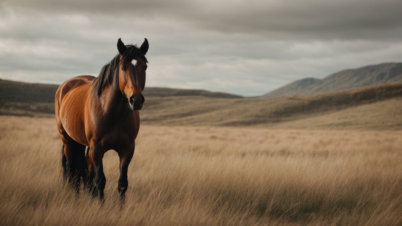 What to Do If You Encounter a Wild Horse? - Are Wild Horses Dangerous