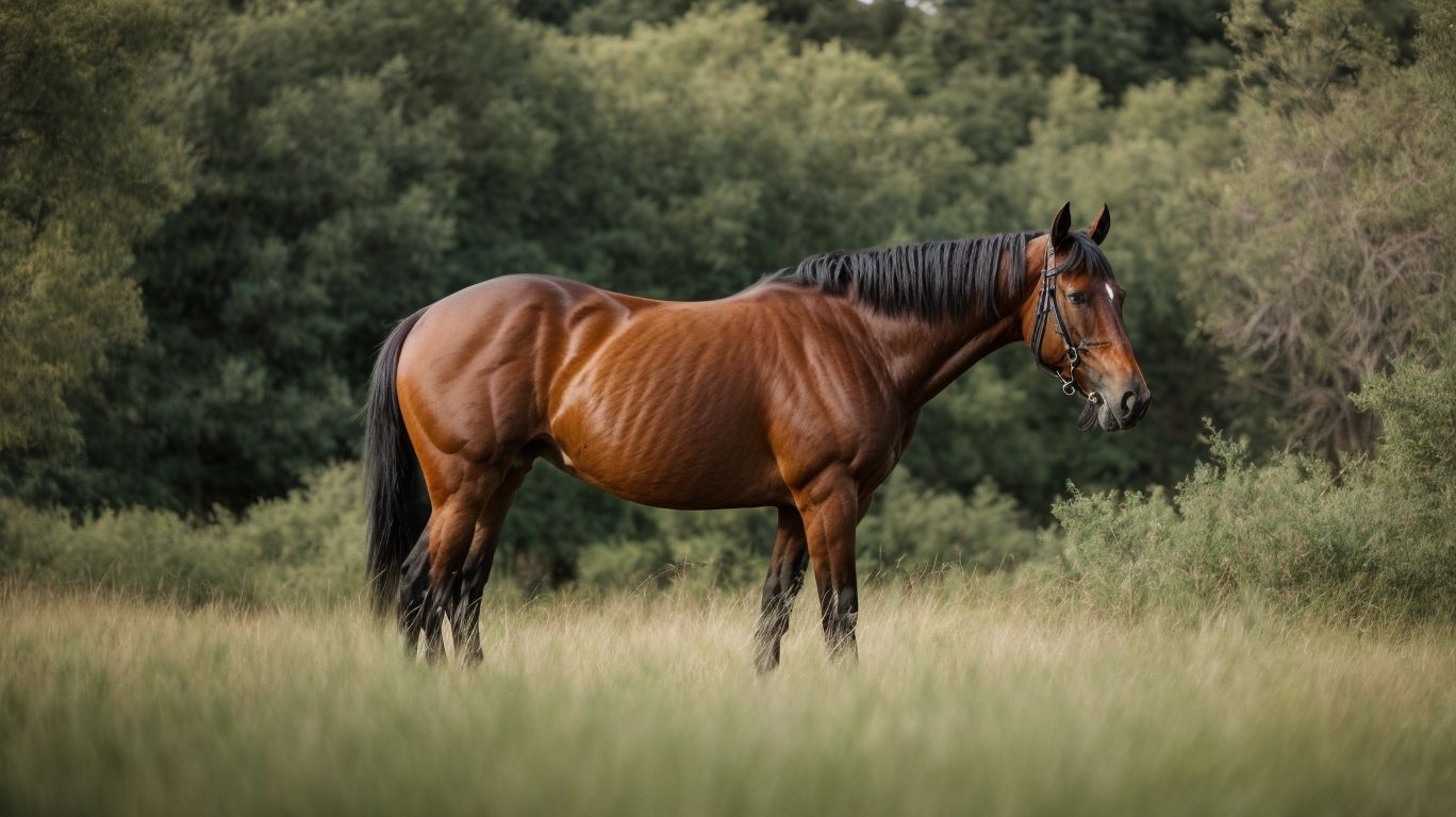 Why Do Owners Retire Thoroughbreds? - Guide To Off-The-Track Thoroughbreds 