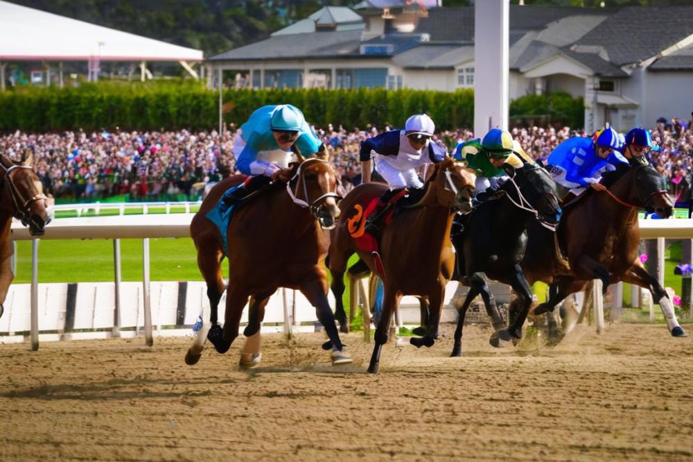 carlisle-racecoursecumbria-behind-the-gates