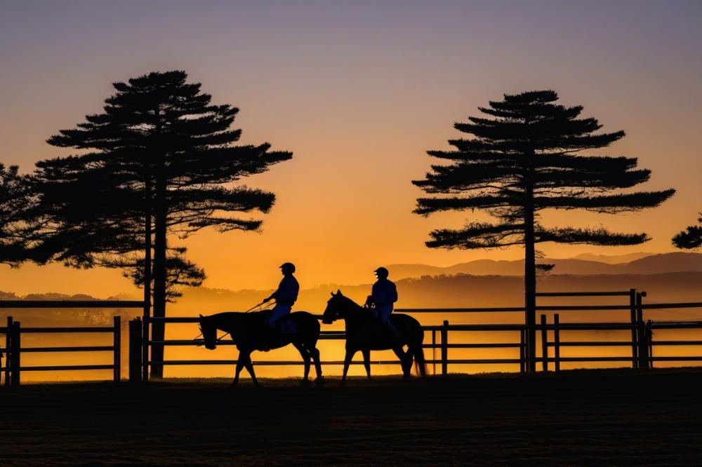 century-downs-racetrack-and-casinocalgary-how-t