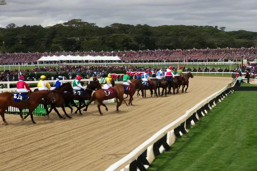 cheltenham-racecoursegloucestershire-experience