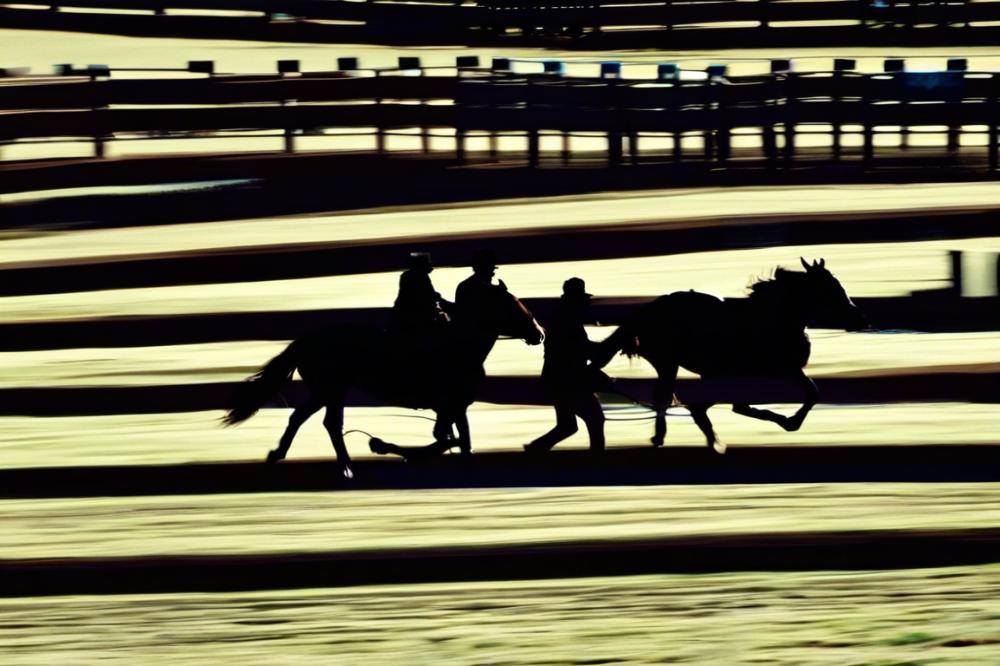delhi-race-clubdelhi-an-evolution-over-time