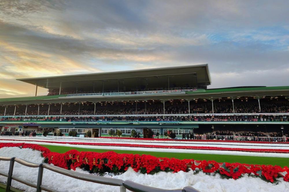 dostihov-zvodit-brnobrno-experience-the-history