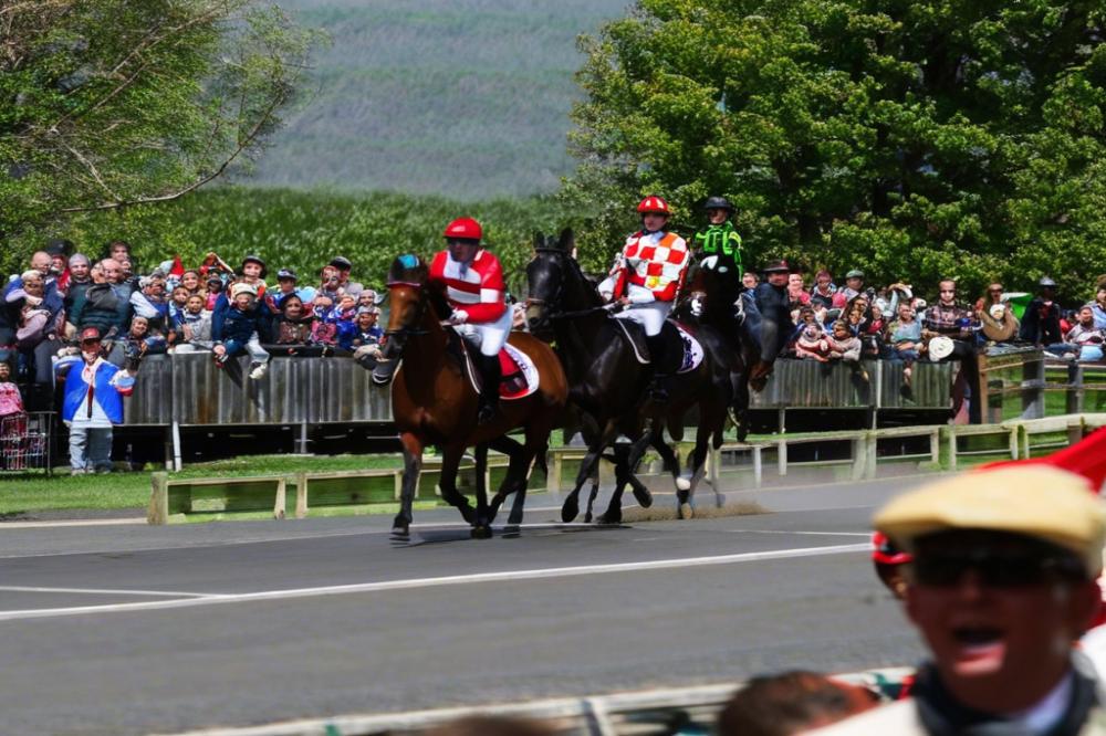 grand-river-racewayelora-an-iconic-racecourse