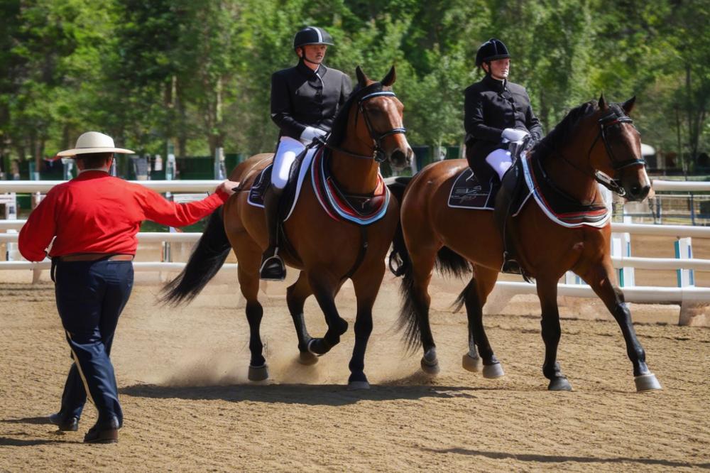 hippodrome-dargentanargentan-a-hub-for-local