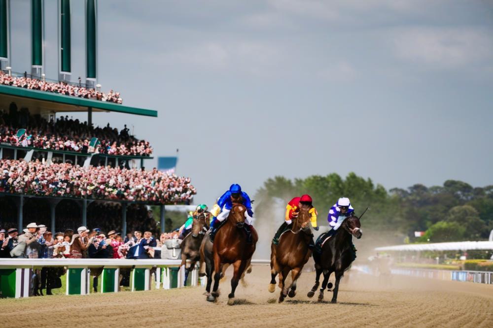 hippodrome-de-bellevue-la-fortlaval-behind-the