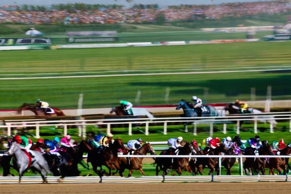 hippodrome-de-bellevue-la-fortlaval-behind-the