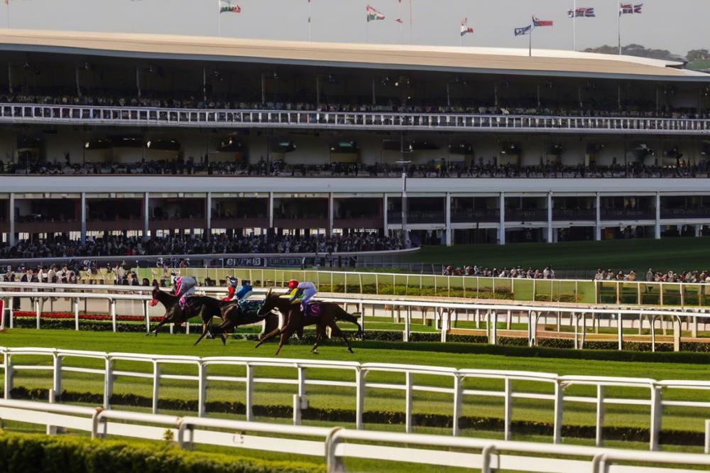 hippodrome-de-calzarelluprunelli-di-fiumorbo-th