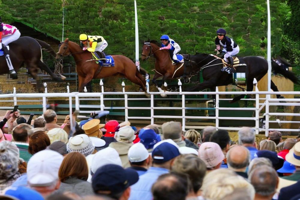 hippodrome-de-comberjonvesoul-an-evolution-over