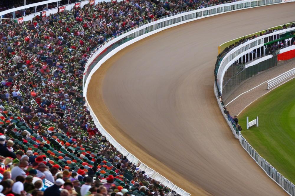 hippodrome-de-la-champagnereims-behind-the-gate