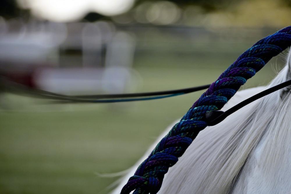 hippodrome-de-la-croix-des-landesdomfront-a-gui