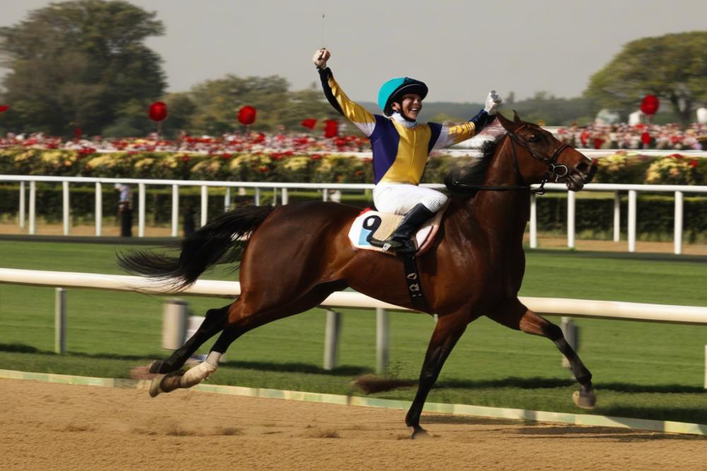 hippodrome-de-la-loiresegr-from-grass-roots-to