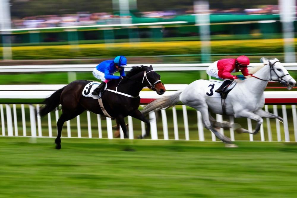 hippodrome-de-la-loiresegr-from-grass-roots-to