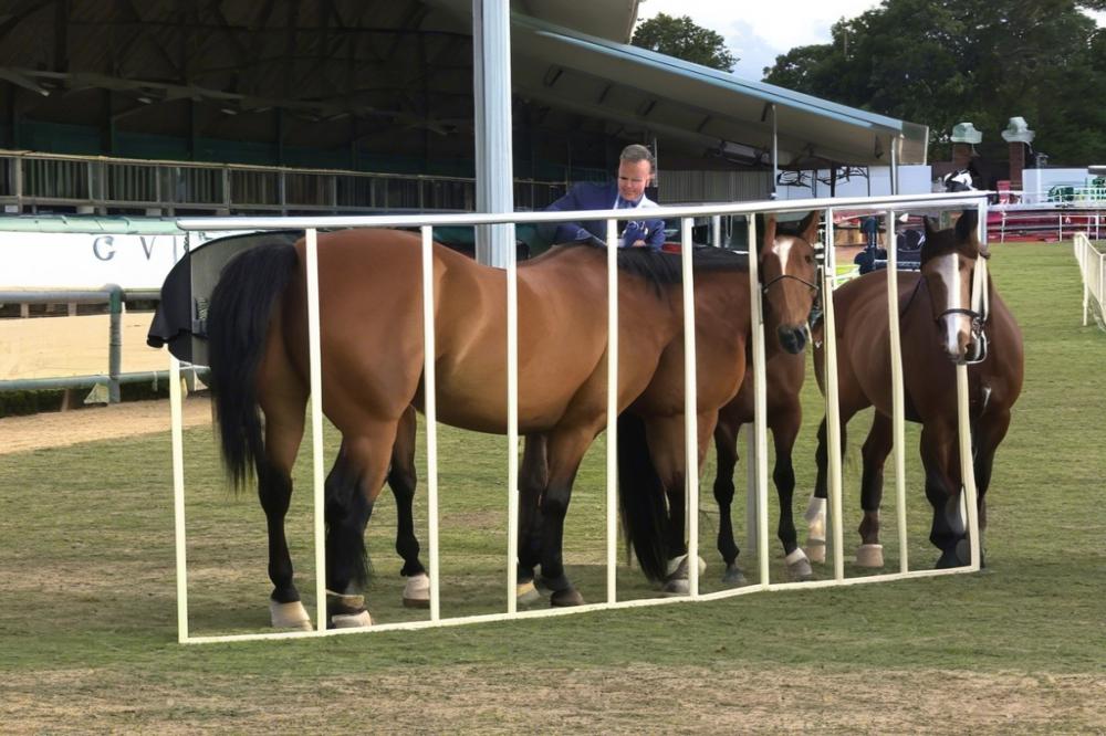 hippodrome-de-latlantiquesaint-jean-de-monts