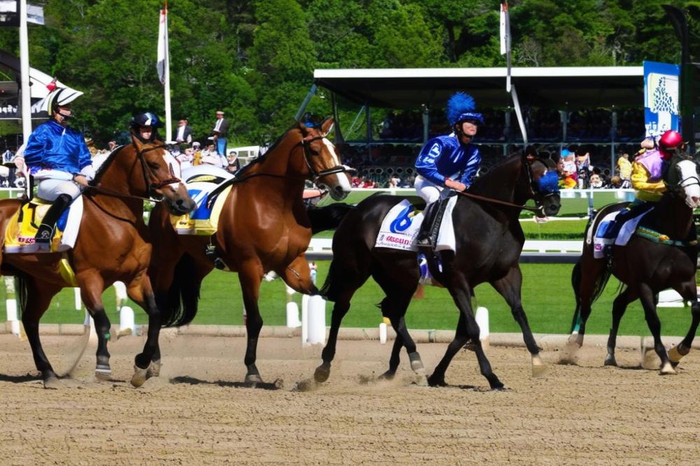 hippodrome-de-portillonvertou-how-to-enjoy-a-da