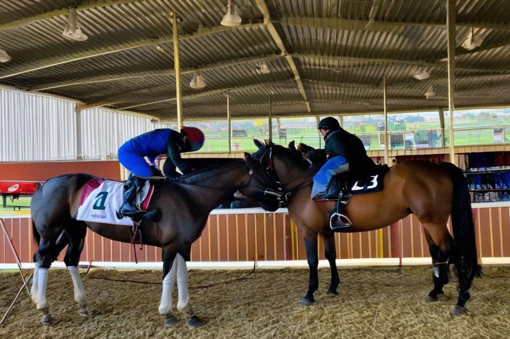 hippodrome-de-viseozonza-showcasing-the-finest-i