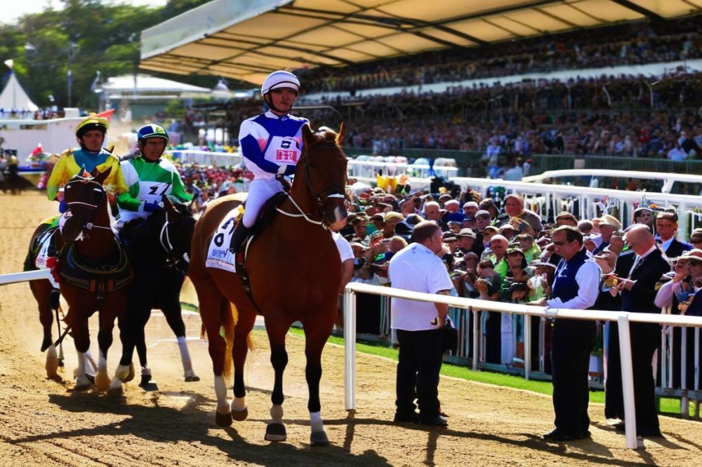 hippodrome-des-bruyressaint-omer-an-evolution-o