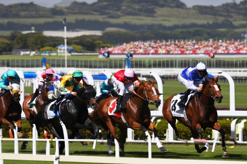hippodrome-des-fleursbiarritz-experience-the-hi