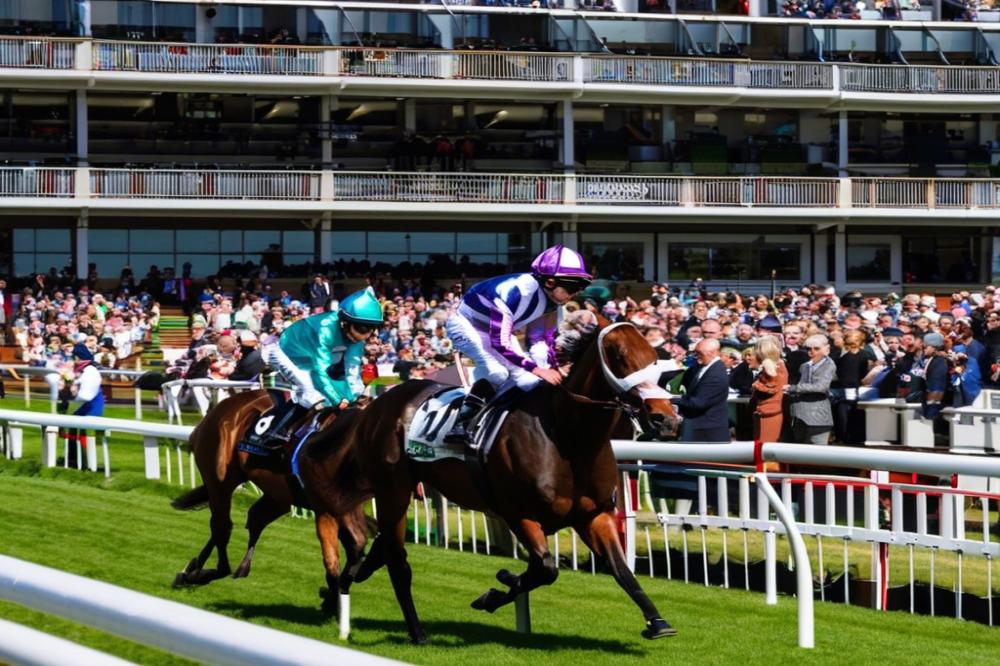 hippodrome-des-vignettaajaccio-a-guide-to-its
