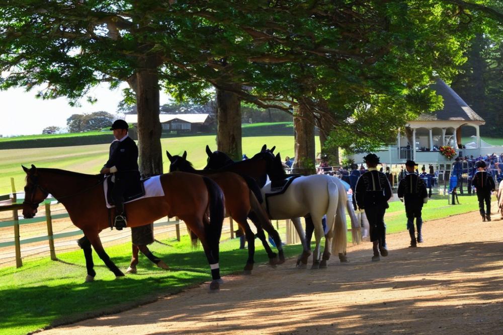 hippodrome-georges-du-breilaurillac-behind-the